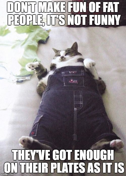 Fat Cat | DON'T MAKE FUN OF FAT PEOPLE, IT'S NOT FUNNY; THEY'VE GOT ENOUGH ON THEIR PLATES AS IT IS | image tagged in memes,fat cat | made w/ Imgflip meme maker