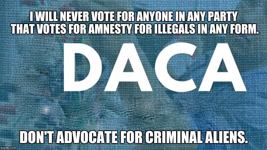 DACA | I WILL NEVER VOTE FOR ANYONE IN ANY PARTY THAT VOTES FOR AMNESTY FOR ILLEGALS IN ANY FORM. DON'T ADVOCATE FOR CRIMINAL ALIENS. | image tagged in daca | made w/ Imgflip meme maker