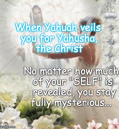 WHEN you STAY CALM and it is NOT ALLOWED by A CANNIBAL, YOU CAN BE CALAMITY JANE upon APPROVAL of the CHRIST | When Yahuah veils you for Yahusha, the Christ; No matter how much of your "SELF" is  revealed, you stay fully mysterious... | image tagged in memes,yahuah,yahusha,calm,calamity | made w/ Imgflip meme maker
