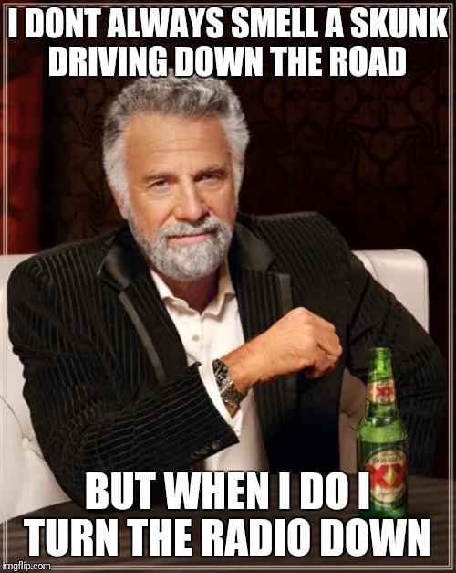 The Most Interesting Man In The World | I DONT ALWAYS SMELL A SKUNK DRIVING DOWN THE ROAD; BUT WHEN I DO I TURN THE RADIO DOWN | image tagged in memes,the most interesting man in the world | made w/ Imgflip meme maker