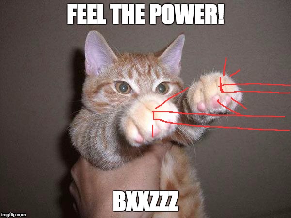 Pew Pew Cat | FEEL THE POWER! BXXZZZ | image tagged in pew pew cat | made w/ Imgflip meme maker