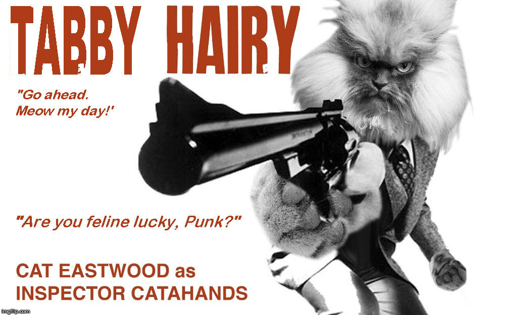 Fighting crime on the streets of Cat Fransico | "GO AHEAD, MEOW MY DAY!"; "ARE YOU FELINE LUCKY, PUNK?" | image tagged in dirty harry,parody,cat,puns | made w/ Imgflip meme maker
