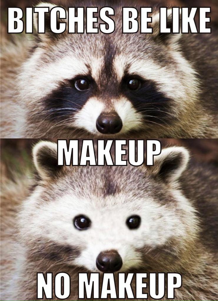 High Quality make up no make up Blank Meme Template