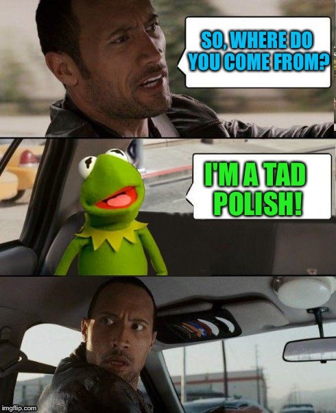 Does anyone remember MEMES_KING? (A MEMES_KING repost) | SO... WHERE DO YOU COME FROM? I’M A TAD POLISH! | image tagged in memes,the rock driving,kermit the frog | made w/ Imgflip meme maker