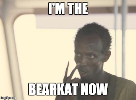 I'm The Captain Now Meme | I'M THE; BEARKAT NOW | image tagged in memes,i'm the captain now | made w/ Imgflip meme maker