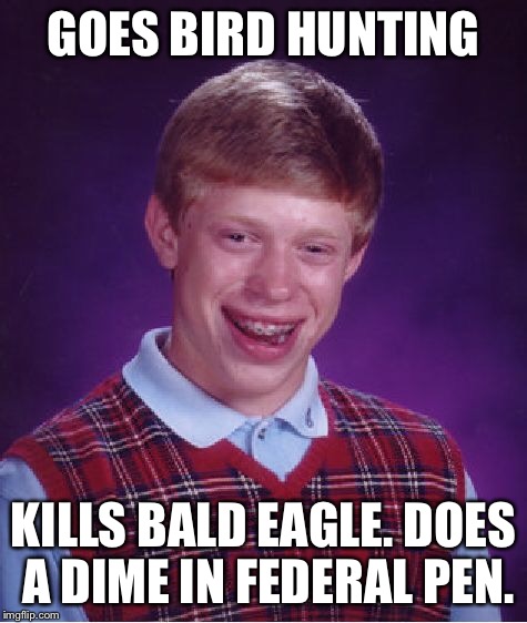 Bad Luck Brian Meme | GOES BIRD HUNTING KILLS BALD EAGLE. DOES A DIME IN FEDERAL PEN. | image tagged in memes,bad luck brian | made w/ Imgflip meme maker