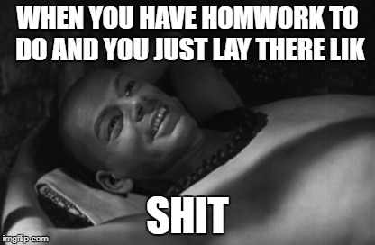 WHEN YOU HAVE HOMWORK TO DO AND YOU JUST LAY THERE LIK; SHIT | image tagged in homework | made w/ Imgflip meme maker