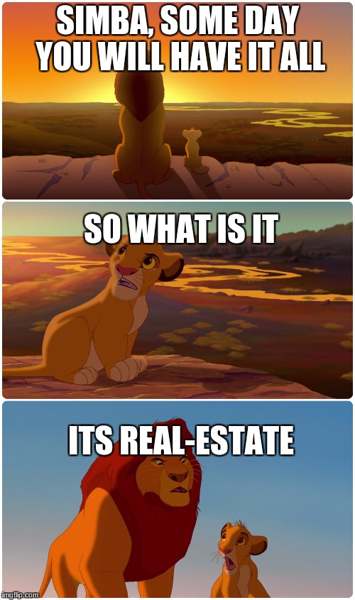 Lion King Meme | SIMBA, SOME DAY YOU WILL HAVE IT ALL; SO WHAT IS IT; ITS REAL-ESTATE | image tagged in lion king meme | made w/ Imgflip meme maker