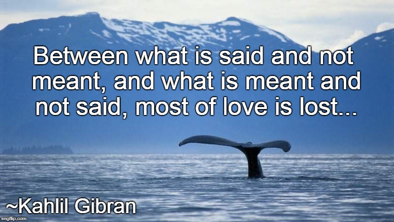 Between what is said and not meant, and what is meant and not said, most of love is lost... ~Kahlil Gibran | image tagged in said,meant,not meant,love,lost | made w/ Imgflip meme maker