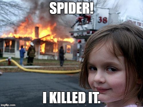 Disaster Girl Meme | SPIDER! I KILLED IT. | image tagged in memes,disaster girl | made w/ Imgflip meme maker