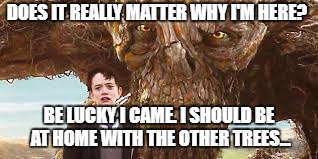 DOES IT REALLY MATTER WHY I'M HERE? BE LUCKY I CAME. I SHOULD BE AT HOME WITH THE OTHER TREES... | image tagged in monstercalls | made w/ Imgflip meme maker