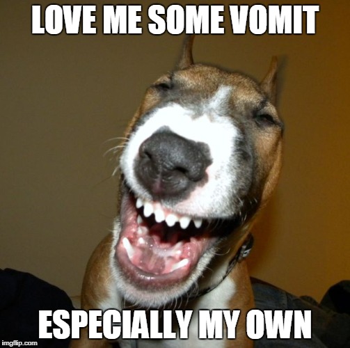 laughing dog | LOVE ME SOME VOMIT ESPECIALLY MY OWN | image tagged in laughing dog | made w/ Imgflip meme maker