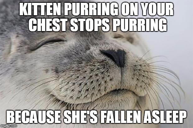 Satisfied Seal Meme | KITTEN PURRING ON YOUR CHEST STOPS PURRING; BECAUSE SHE'S FALLEN ASLEEP | image tagged in memes,satisfied seal | made w/ Imgflip meme maker