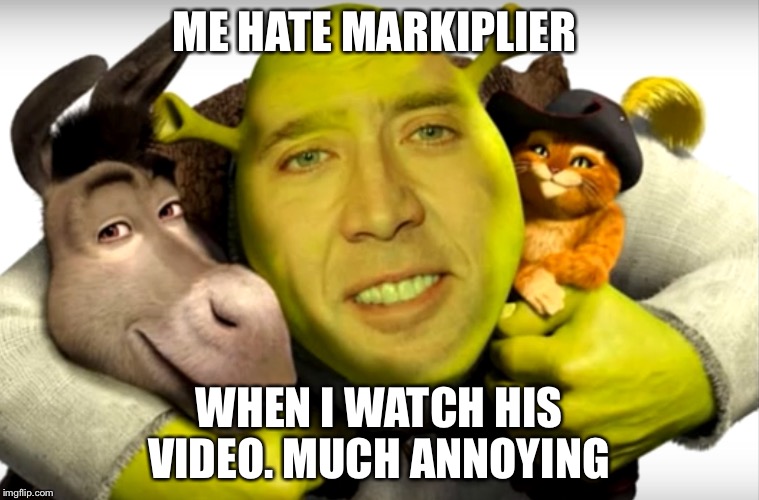 Shrek is the best  | ME HATE MARKIPLIER WHEN I WATCH HIS VIDEO. MUCH ANNOYING | image tagged in shrek is the best | made w/ Imgflip meme maker