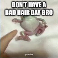 Relax Bro | DON’T HAVE A BAD HAIR DAY BRO | image tagged in relax bro | made w/ Imgflip meme maker