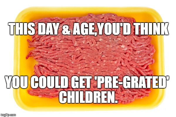 THIS DAY & AGE,YOU'D THINK YOU COULD GET 'PRE-GRATED' CHILDREN. | made w/ Imgflip meme maker
