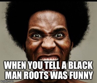 WHEN YOU TELL A BLACK MAN ROOTS WAS FUNNY | image tagged in memes | made w/ Imgflip meme maker
