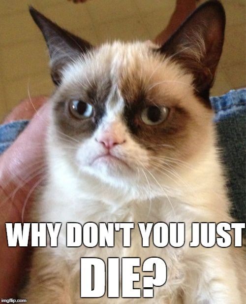 Grumpy Cat Meme | WHY DON'T YOU JUST DIE? | image tagged in memes,grumpy cat | made w/ Imgflip meme maker