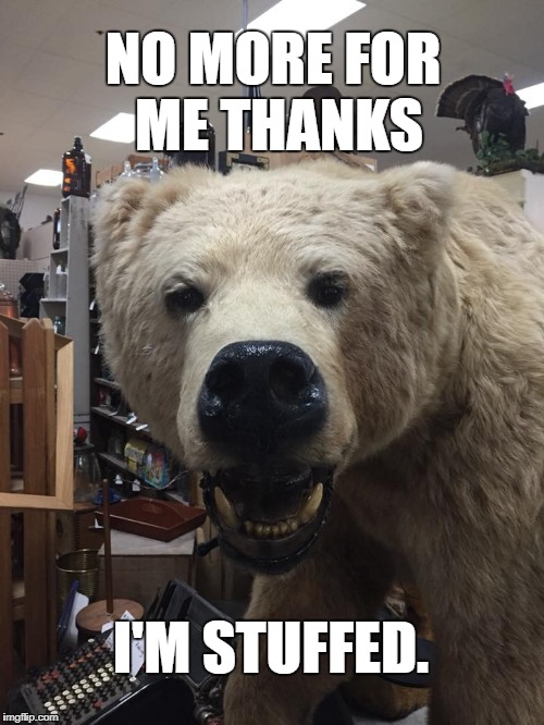 I'm Stuffed | NO MORE FOR ME THANKS; I'M STUFFED. | image tagged in sarcastic bear,stuffed animal | made w/ Imgflip meme maker