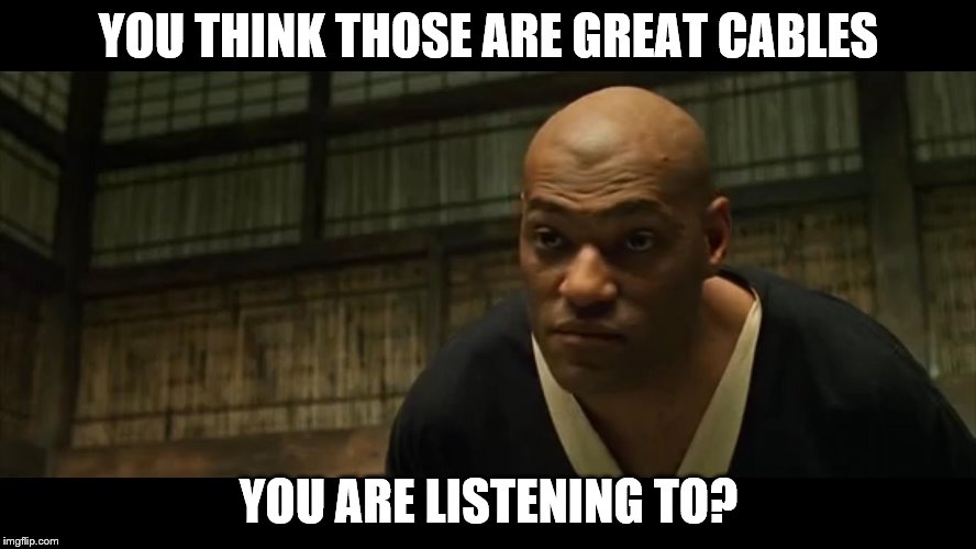 Morpheus Cocky Look | YOU THINK THOSE ARE GREAT CABLES; YOU ARE LISTENING TO? | image tagged in morpheus cocky look | made w/ Imgflip meme maker