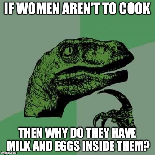 Philosoraptor Meme | IF WOMEN AREN’T TO COOK; THEN WHY DO THEY HAVE MILK AND EGGS INSIDE THEM? | image tagged in memes,philosoraptor | made w/ Imgflip meme maker