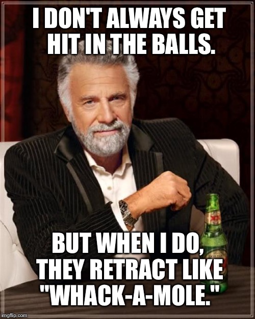 Dodgeball whack-a-mole | I DON'T ALWAYS GET HIT IN THE BALLS. BUT WHEN I DO, THEY RETRACT LIKE "WHACK-A-MOLE." | image tagged in memes,the most interesting man in the world,balls,dodgeball,bad joke,sports | made w/ Imgflip meme maker