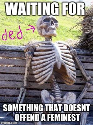 Waiting Skeleton | WAITING FOR; SOMETHING THAT DOESNT OFFEND A FEMINEST | image tagged in memes,waiting skeleton | made w/ Imgflip meme maker