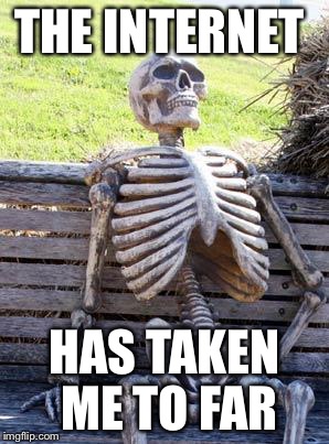 Waiting Skeleton | THE INTERNET; HAS TAKEN ME TO FAR | image tagged in memes,waiting skeleton | made w/ Imgflip meme maker