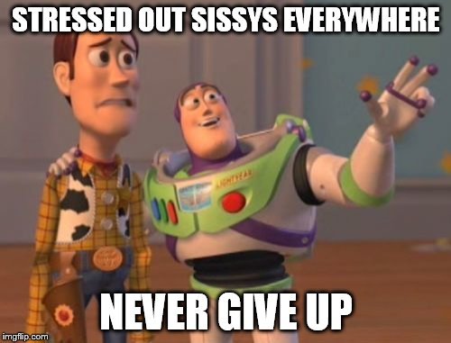 X, X Everywhere Meme | STRESSED OUT SISSYS EVERYWHERE NEVER GIVE UP | image tagged in memes,x x everywhere | made w/ Imgflip meme maker