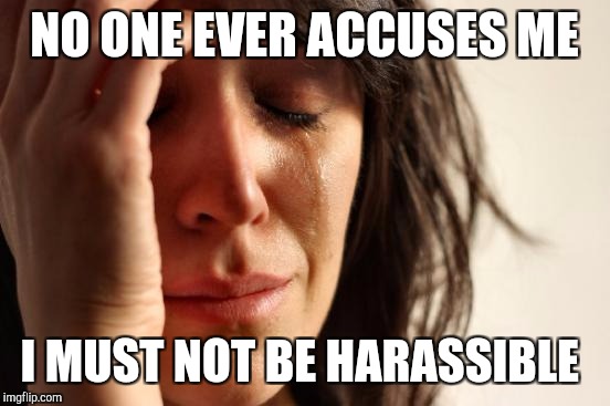 First World Problems Meme | NO ONE EVER ACCUSES ME I MUST NOT BE HARASSIBLE | image tagged in memes,first world problems | made w/ Imgflip meme maker