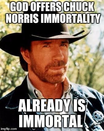 Chuck Norris Meme | GOD OFFERS CHUCK NORRIS IMMORTALITY; ALREADY IS IMMORTAL | image tagged in memes,chuck norris | made w/ Imgflip meme maker