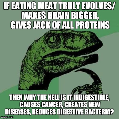 Philosoraptor Meme | IF EATING MEAT TRULY EVOLVES/ MAKES BRAIN BIGGER, GIVES JACK OF ALL PROTEINS; THEN WHY THE HELL IS IT INDIGESTIBLE, CAUSES CANCER, CREATES NEW DISEASES, REDUCES DIGESTIVE BACTERIA? | image tagged in memes,philosoraptor,meat | made w/ Imgflip meme maker