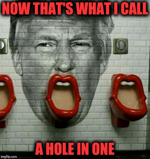 Donald Trump Urinal | NOW THAT'S WHAT I CALL A HOLE IN ONE | image tagged in donald trump urinal | made w/ Imgflip meme maker