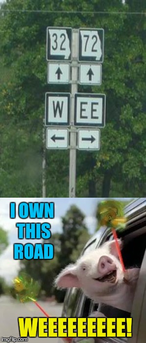 Weeeeeeeee! | I OWN THIS ROAD; WEEEEEEEEE! | image tagged in memes,pigs,weeeeeeeee,funny road signs,funny | made w/ Imgflip meme maker