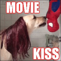Spiderman | MOVIE; KISS | image tagged in memes,movie,kiss,spiderman,dog,bitch | made w/ Imgflip meme maker