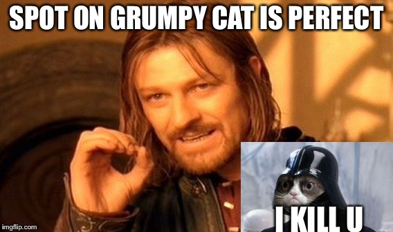 One Does Not Simply Meme | SPOT ON GRUMPY CAT IS PERFECT; I KILL U | image tagged in memes,one does not simply | made w/ Imgflip meme maker