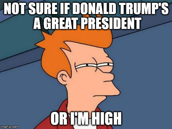 This explains everything | NOT SURE IF DONALD TRUMP'S A GREAT PRESIDENT; OR I'M HIGH | image tagged in memes,futurama fry,oh my gosh this is so true about every trump supporter | made w/ Imgflip meme maker
