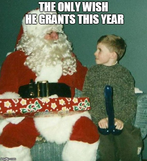 Dera Santa | THE ONLY WISH HE GRANTS THIS YEAR | image tagged in bad santa | made w/ Imgflip meme maker