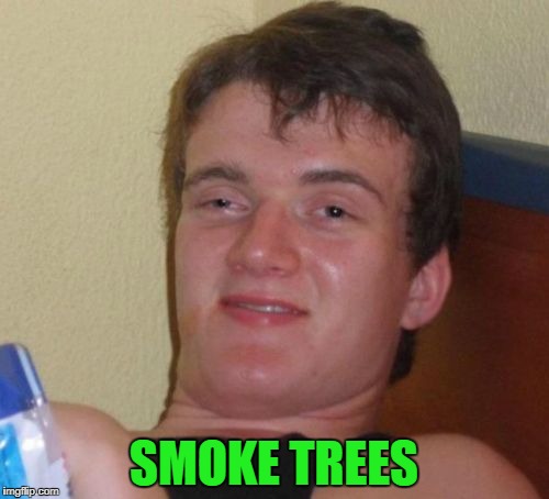 10 Guy Meme | SMOKE TREES | image tagged in memes,10 guy | made w/ Imgflip meme maker