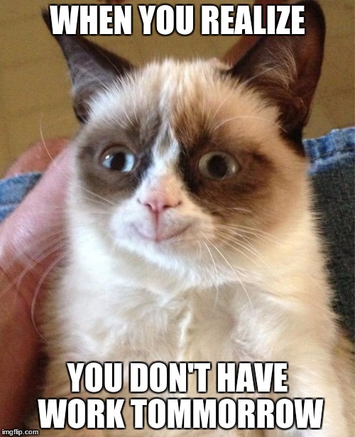 Grumpy Cat Happy | WHEN YOU REALIZE; YOU DON'T HAVE WORK TOMMORROW | image tagged in memes,grumpy cat happy,grumpy cat | made w/ Imgflip meme maker