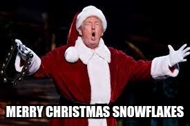 trump christmas | MERRY CHRISTMAS SNOWFLAKES | image tagged in trump christmas | made w/ Imgflip meme maker