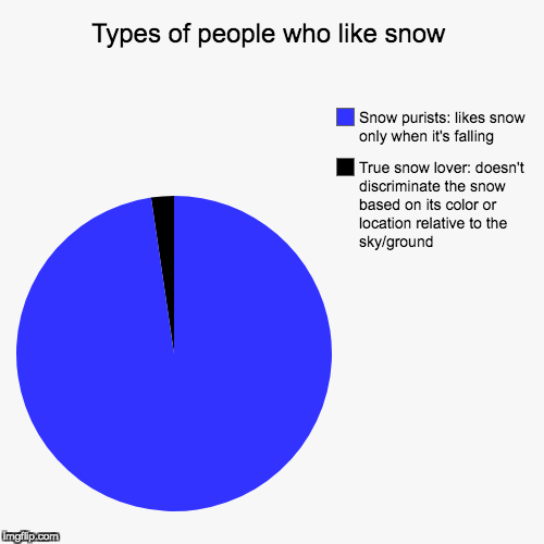So you like snow | image tagged in funny,pie charts,snow,purists,people | made w/ Imgflip chart maker