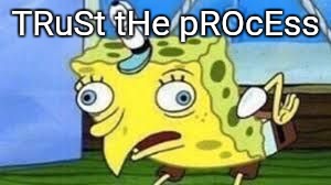 Mocking Spongebob Meme | TRuSt tHe pROcEss | image tagged in spongebob mock | made w/ Imgflip meme maker