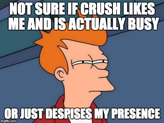 The question of our lifetime | NOT SURE IF CRUSH LIKES ME AND IS ACTUALLY BUSY; OR JUST DESPISES MY PRESENCE | image tagged in memes,futurama fry,crushes,single,single af | made w/ Imgflip meme maker