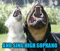 AND SING HIGH SOPRANO | made w/ Imgflip meme maker