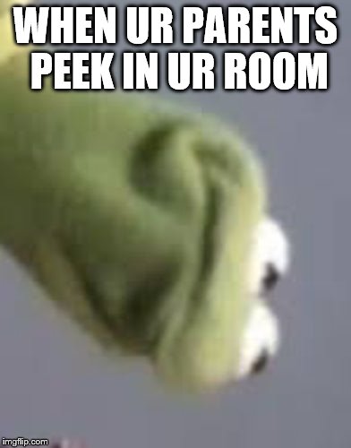 Kermit the frog  | WHEN UR PARENTS PEEK IN UR ROOM | image tagged in kermit the frog | made w/ Imgflip meme maker