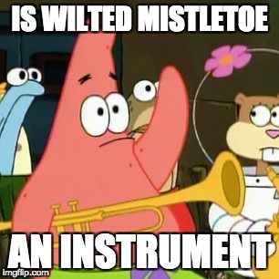 Single AF during the holidays | IS WILTED MISTLETOE; AN INSTRUMENT | image tagged in memes,no patrick,single af,holidays,christmas,single | made w/ Imgflip meme maker
