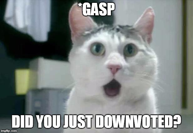 OMG Cat | *GASP; DID YOU JUST DOWNVOTED? | image tagged in memes,omg cat | made w/ Imgflip meme maker