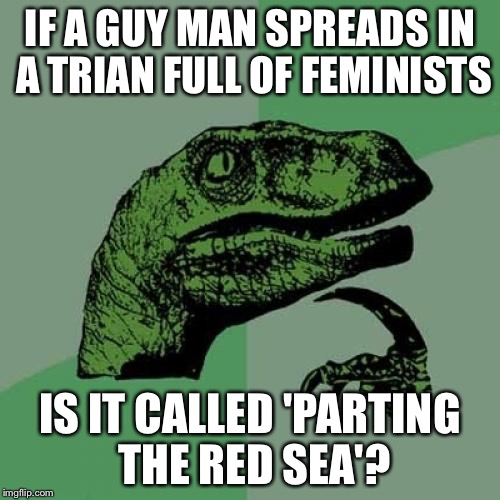 Think about it... | IF A GUY MAN SPREADS IN A TRIAN FULL OF FEMINISTS; IS IT CALLED 'PARTING THE RED SEA'? | image tagged in memes,philosoraptor,feminazi | made w/ Imgflip meme maker