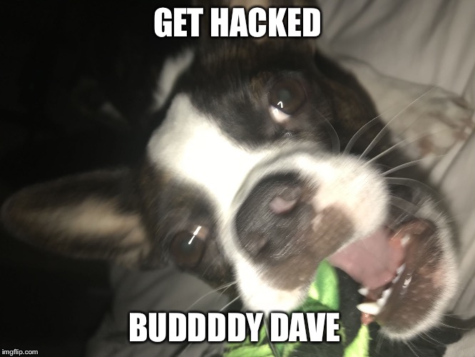 GET HACKED; BUDDDDY DAVE | image tagged in nsnd | made w/ Imgflip meme maker